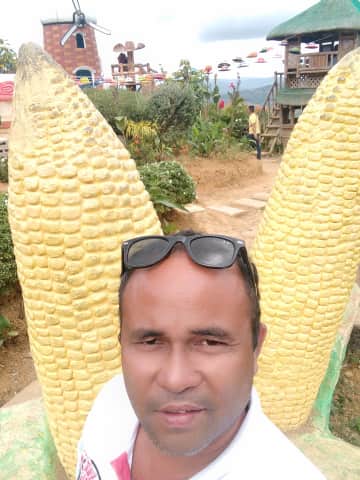 Driver's Picture